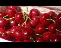 An Introduction to McIntosh Orchard - Thai Version